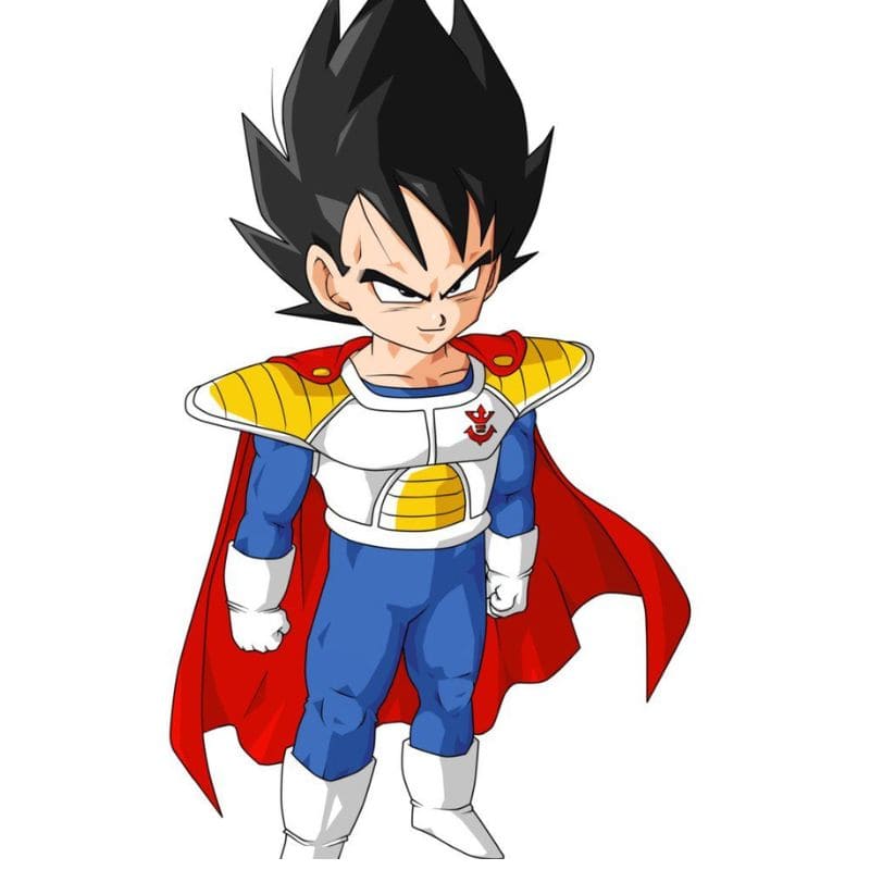 Prince Vegeta Dragon Ball Z univers Saiyan ambiance anime