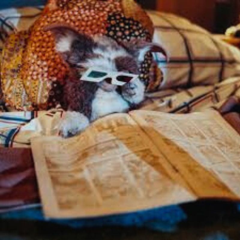 Gizmo personnage film Gremlins 1984