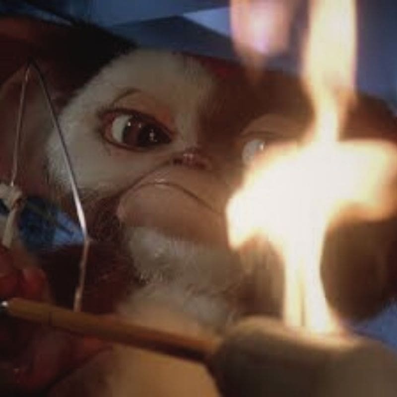 Gizmo personnage Gremlins 2 film officiel