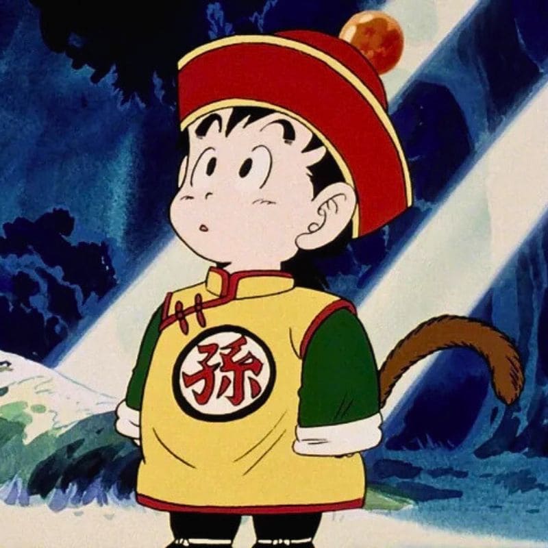 Gohan personnage Dragon Ball Z anime