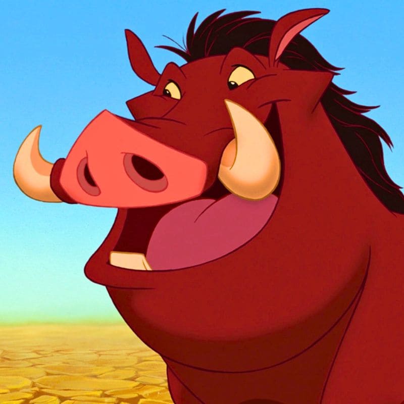 Pumbaa Roi Lion personnage Disney figurine référence